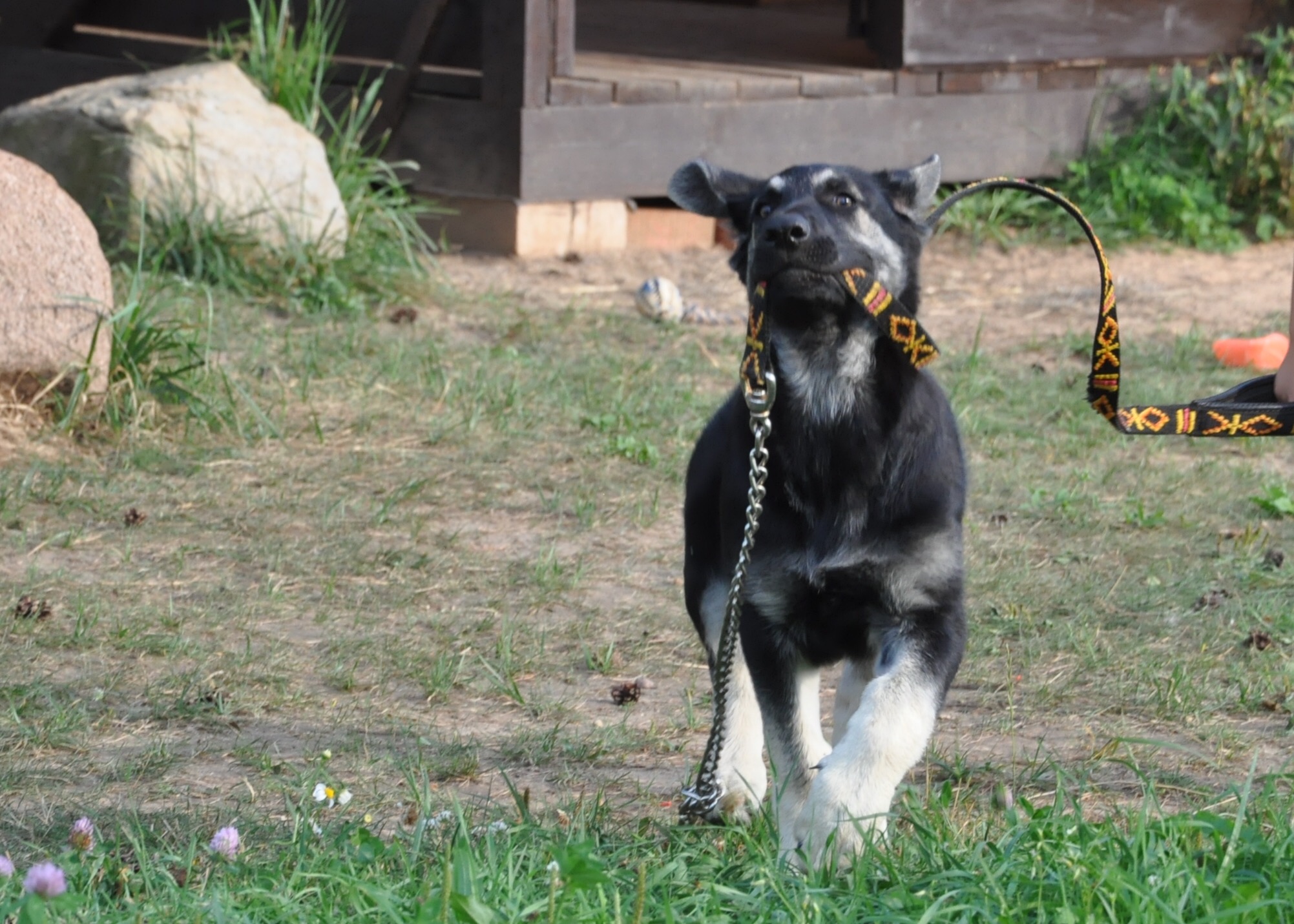 DSC_0116.JPG