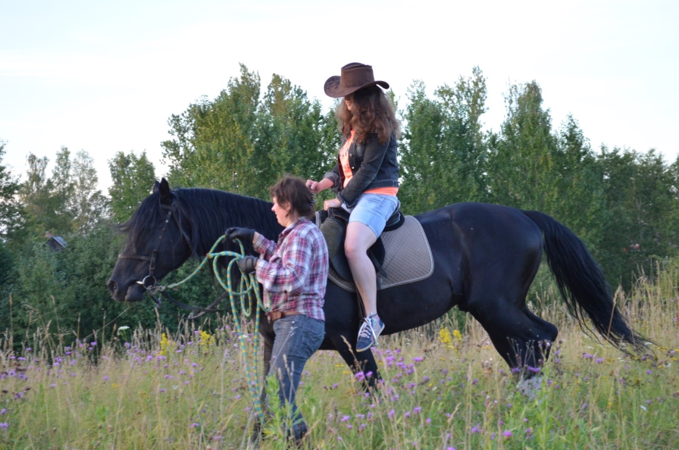 DSC_0130 - копия.JPG