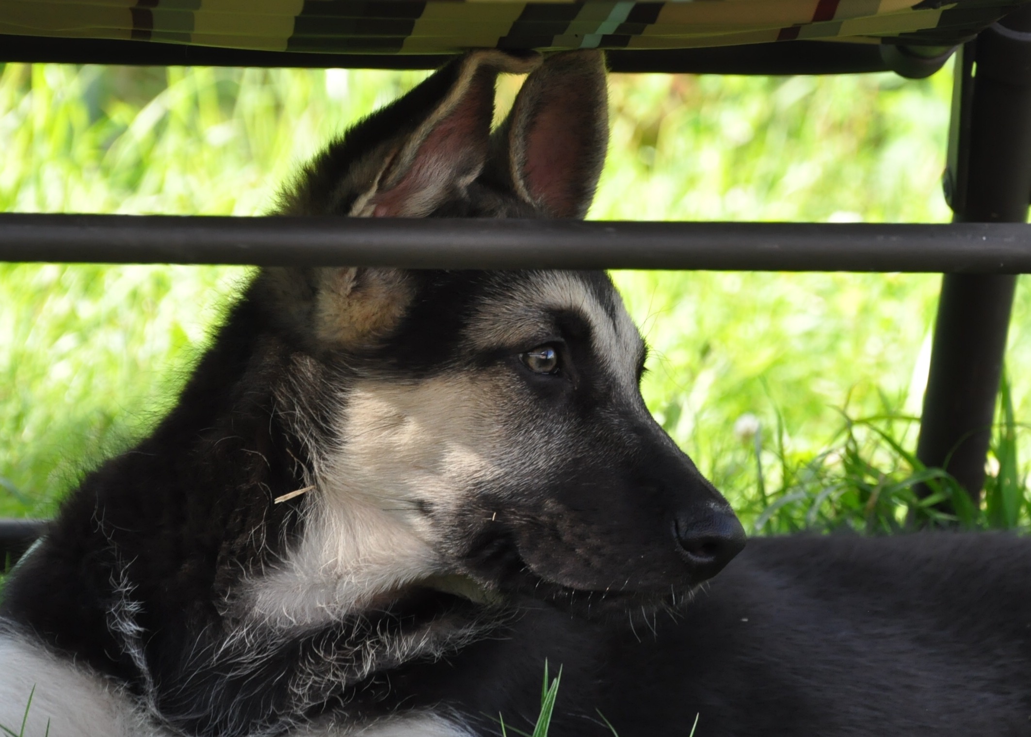 DSC_0171.JPG