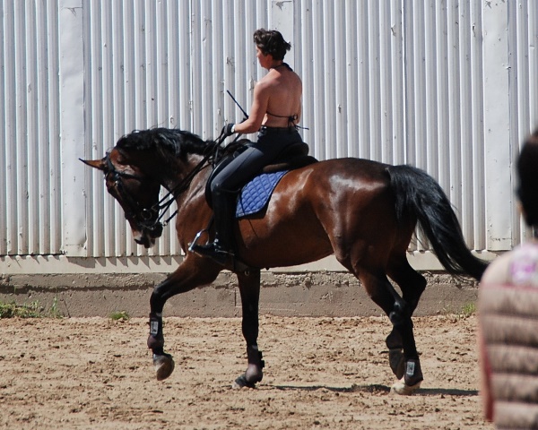 DSC_0204.jpg