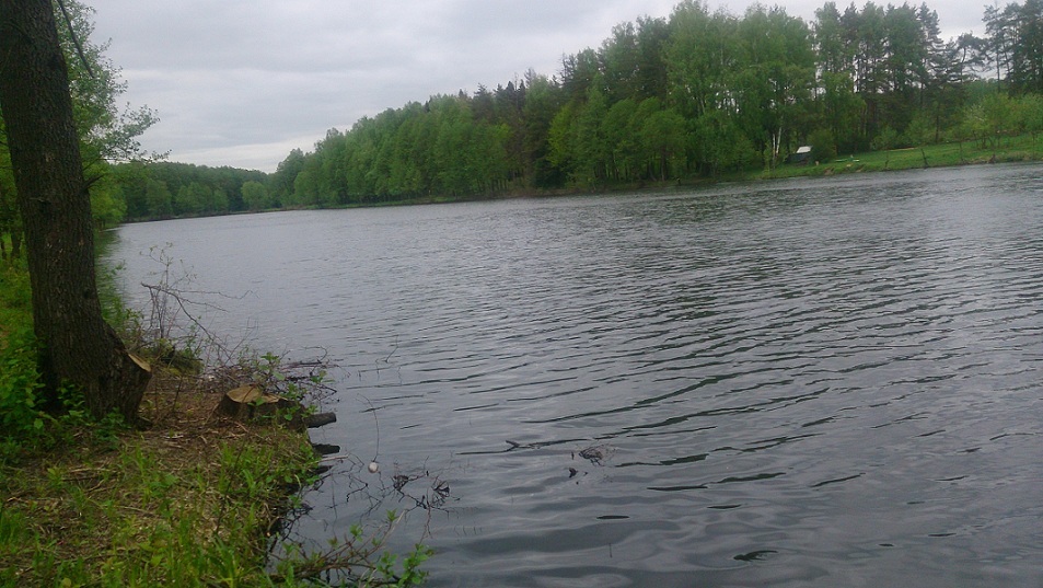 DSC_0231.JPG