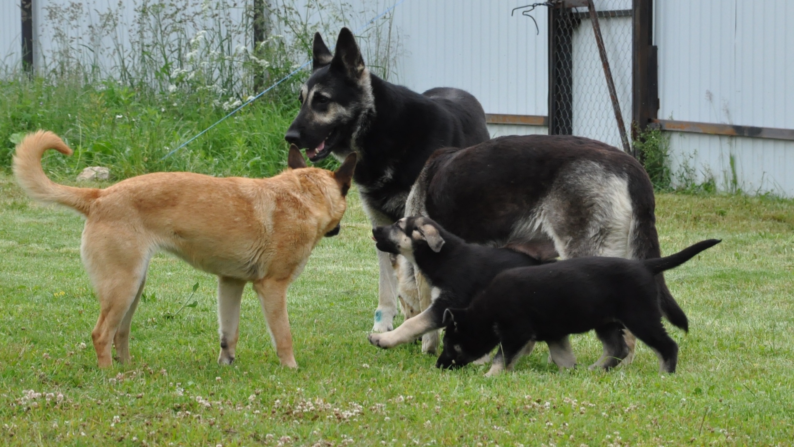 DSC_0299.JPG