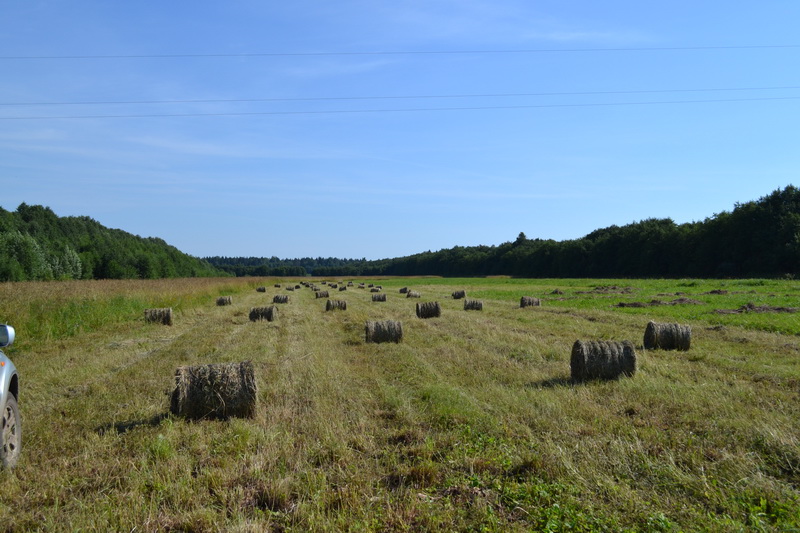 DSC_0332.JPG