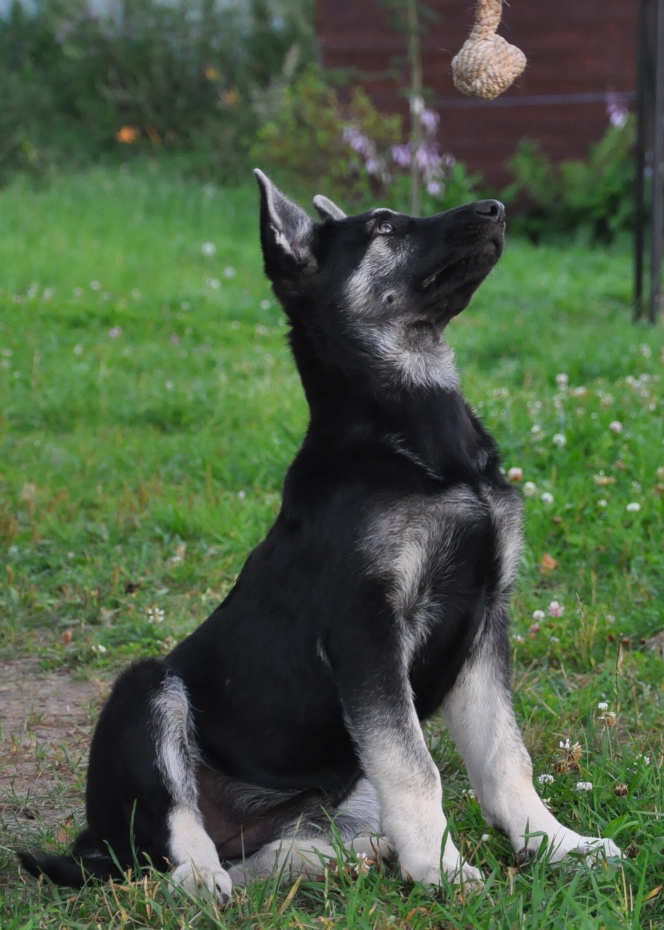 DSC_0469.JPG