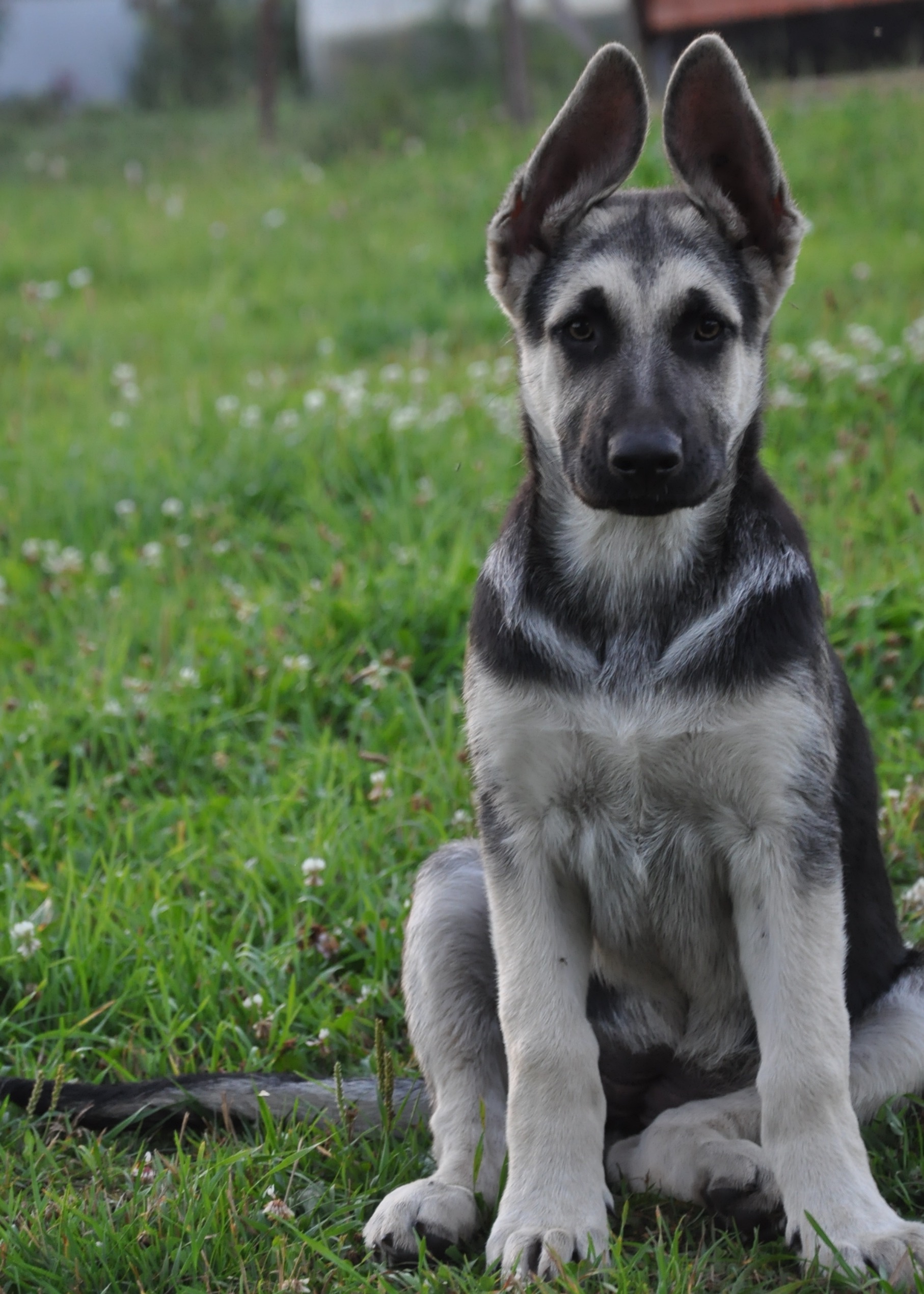 DSC_0476.JPG