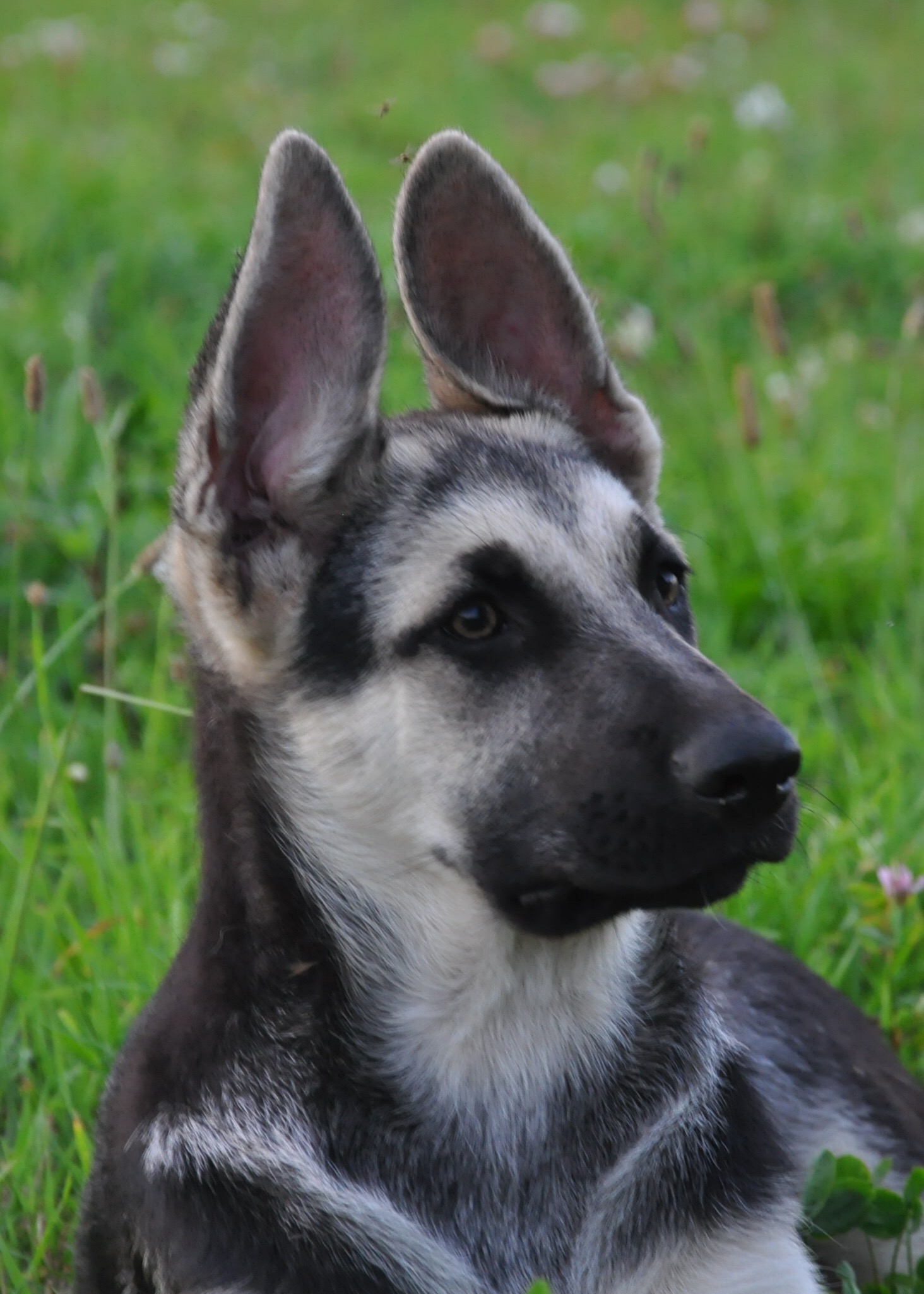 DSC_0493.JPG