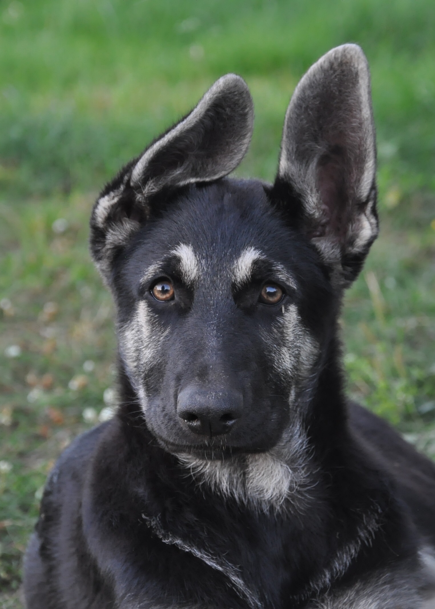 DSC_0517.JPG