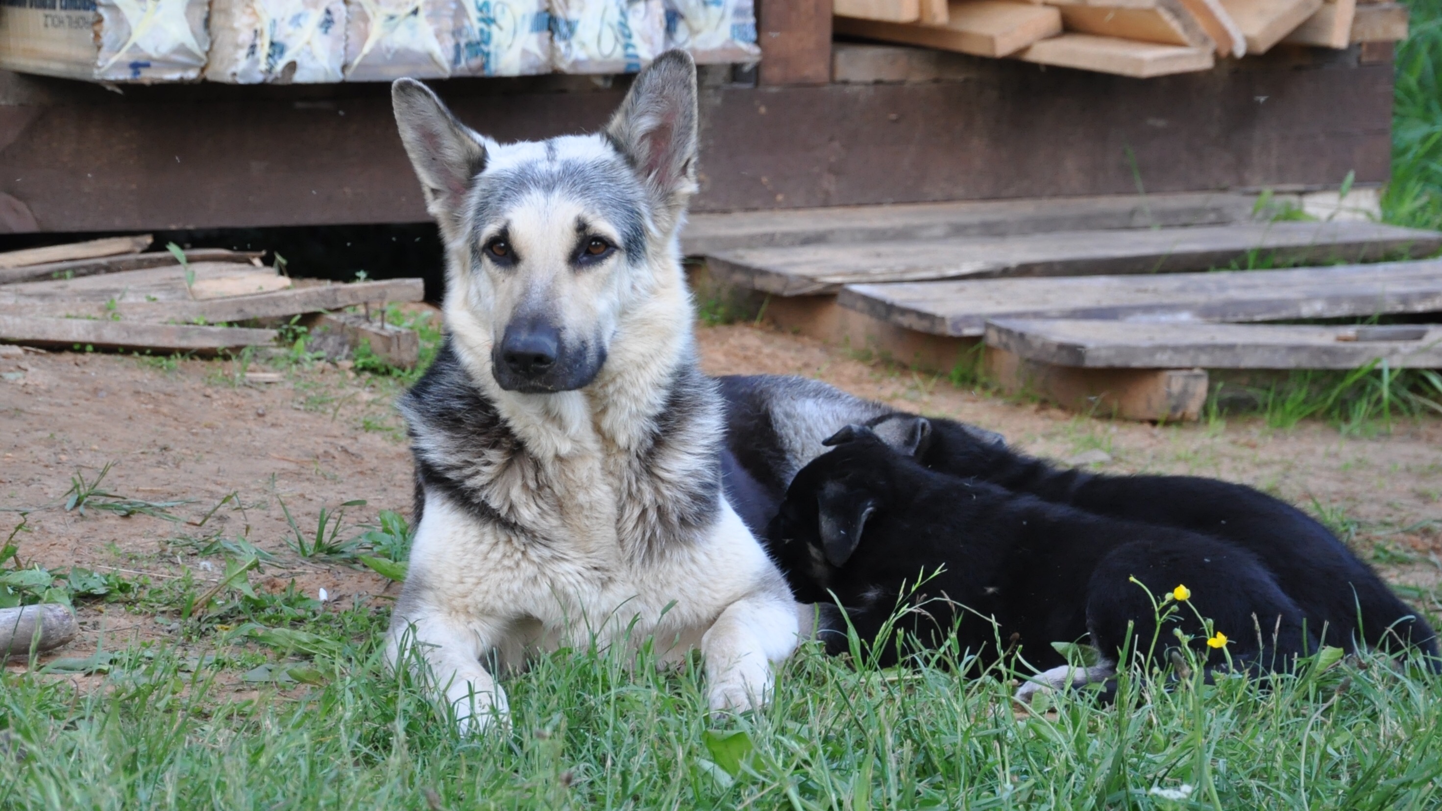 DSC_0671.JPG