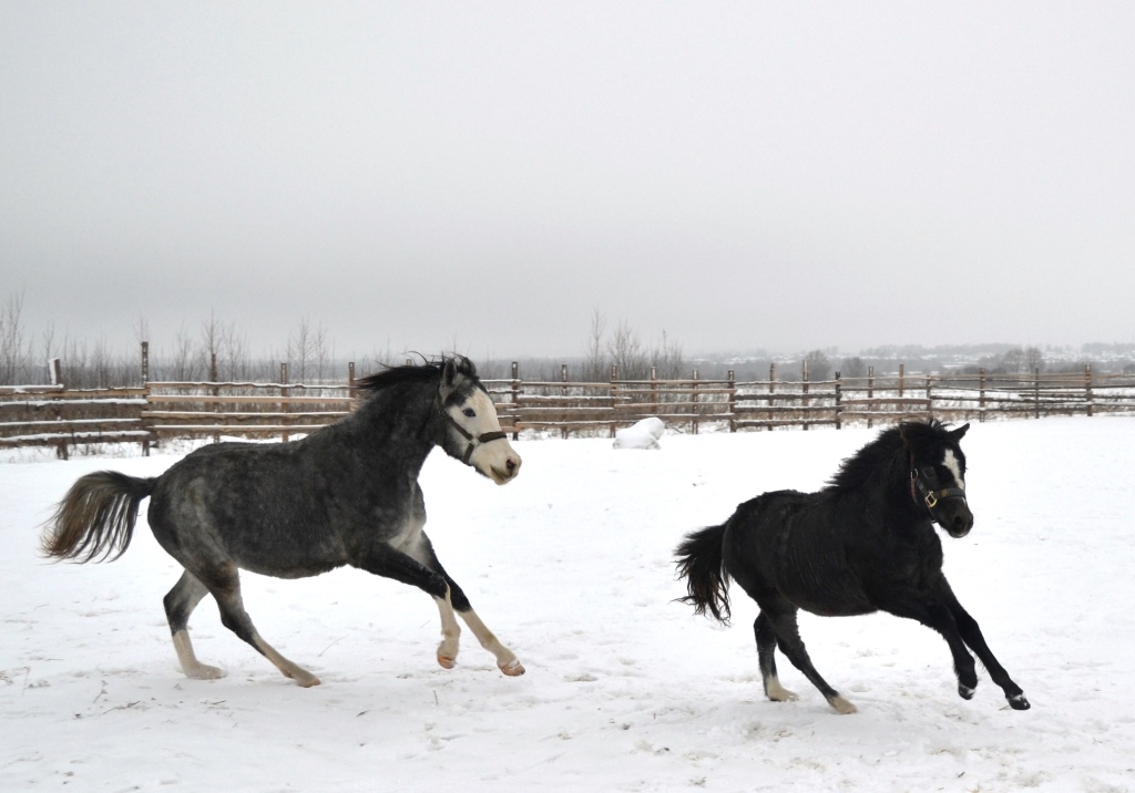 DSC_0711 - копия.JPG