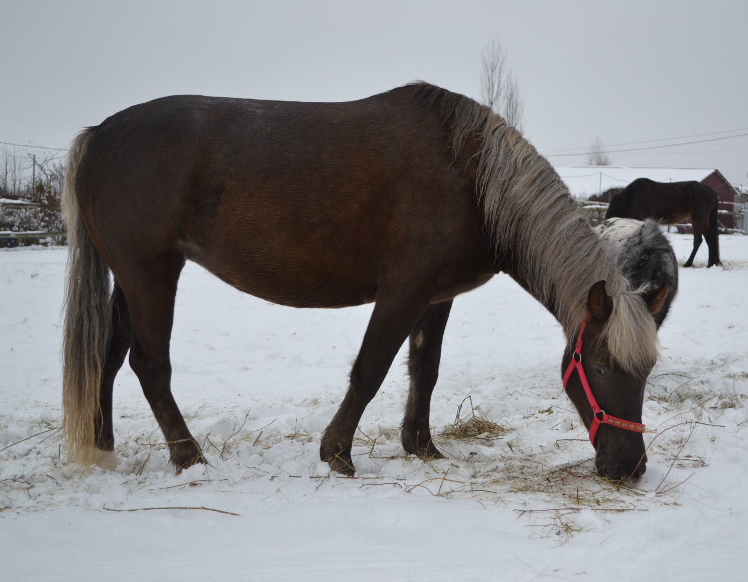 DSC_0776.JPG