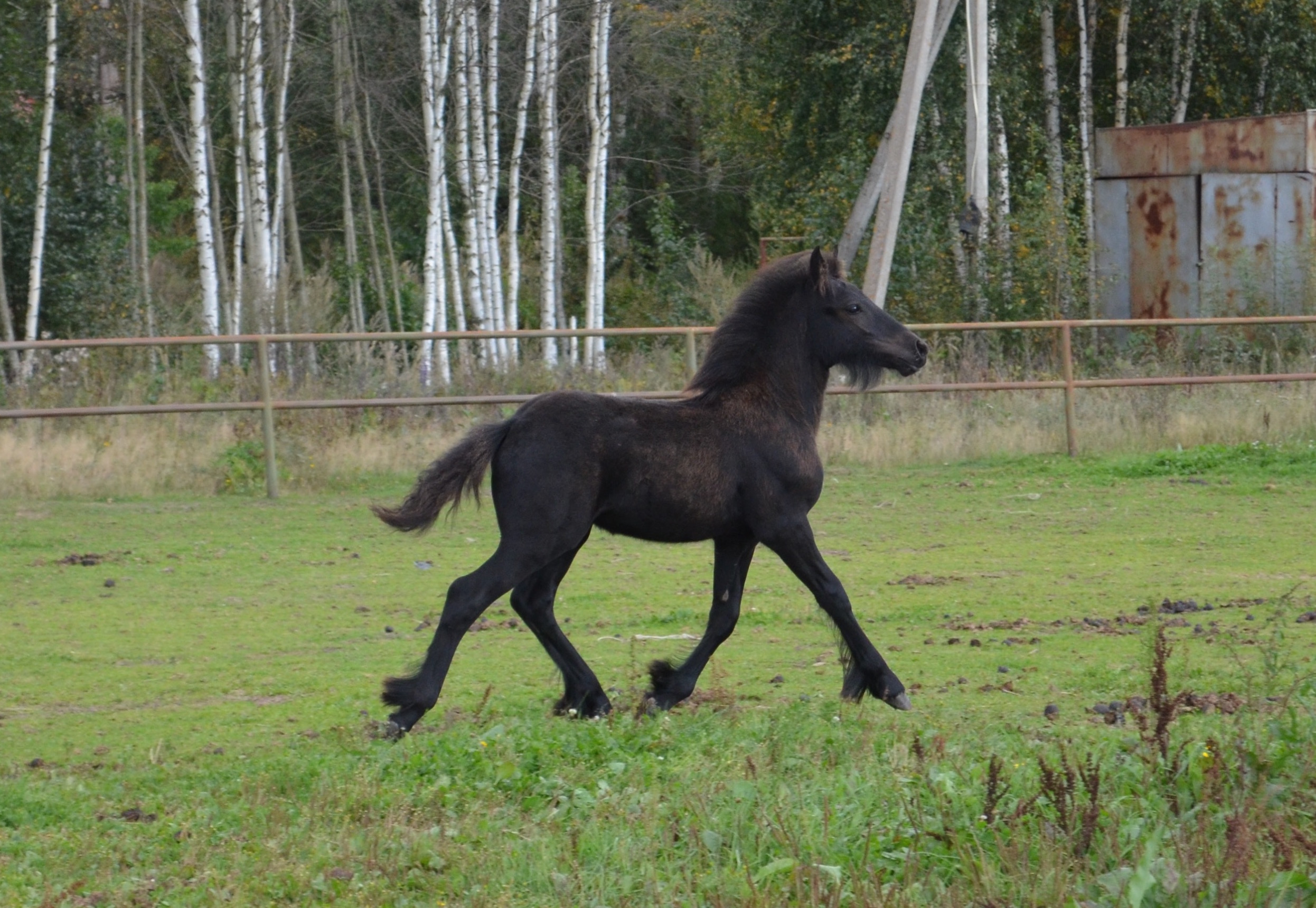 DSC_0846.jpg