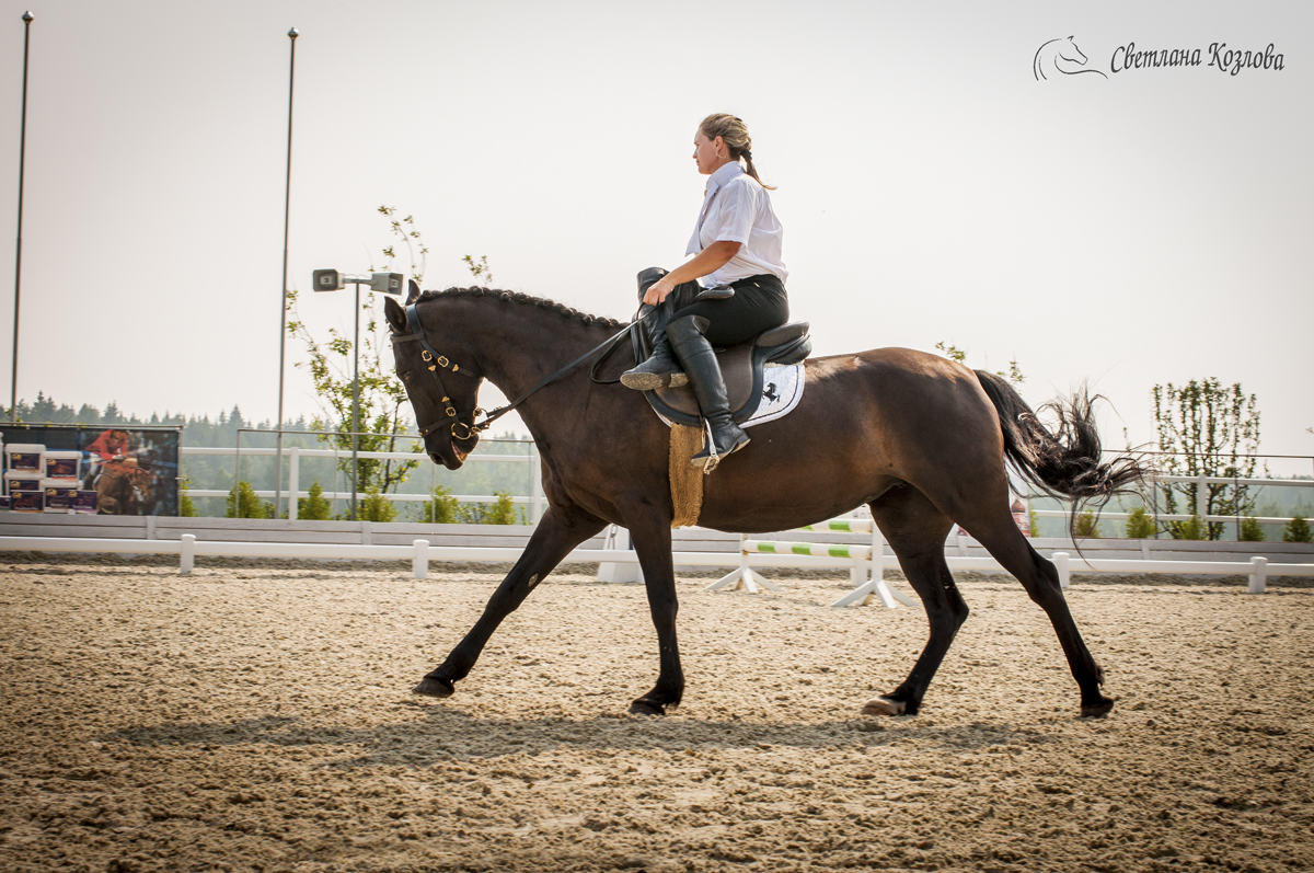DSC_097(c)sm.jpg
