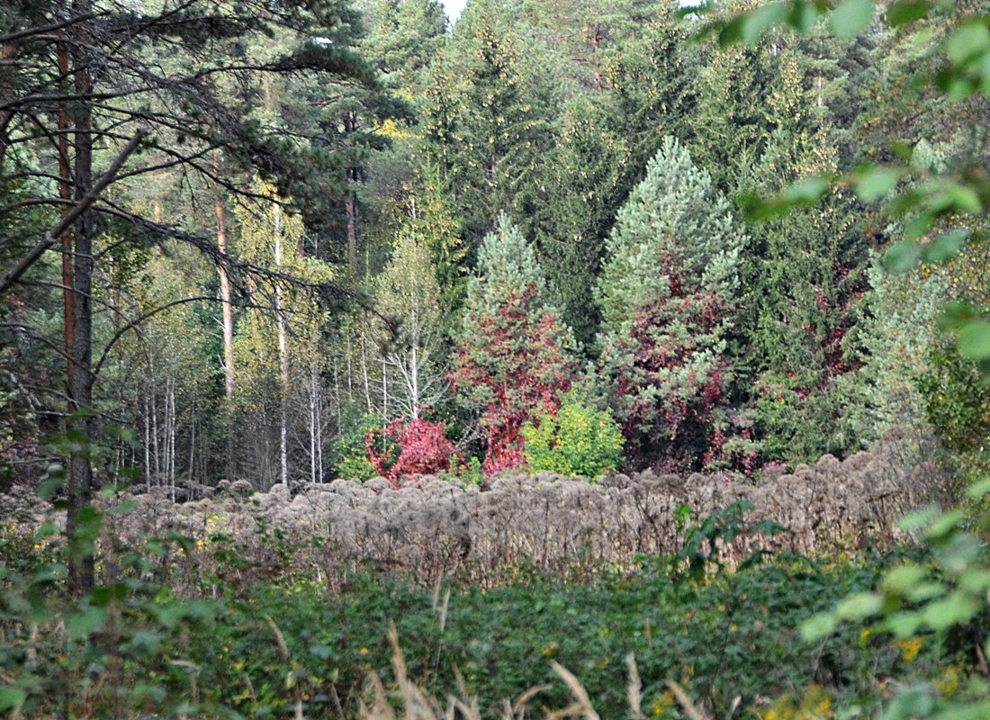 DSC_1052.JPG