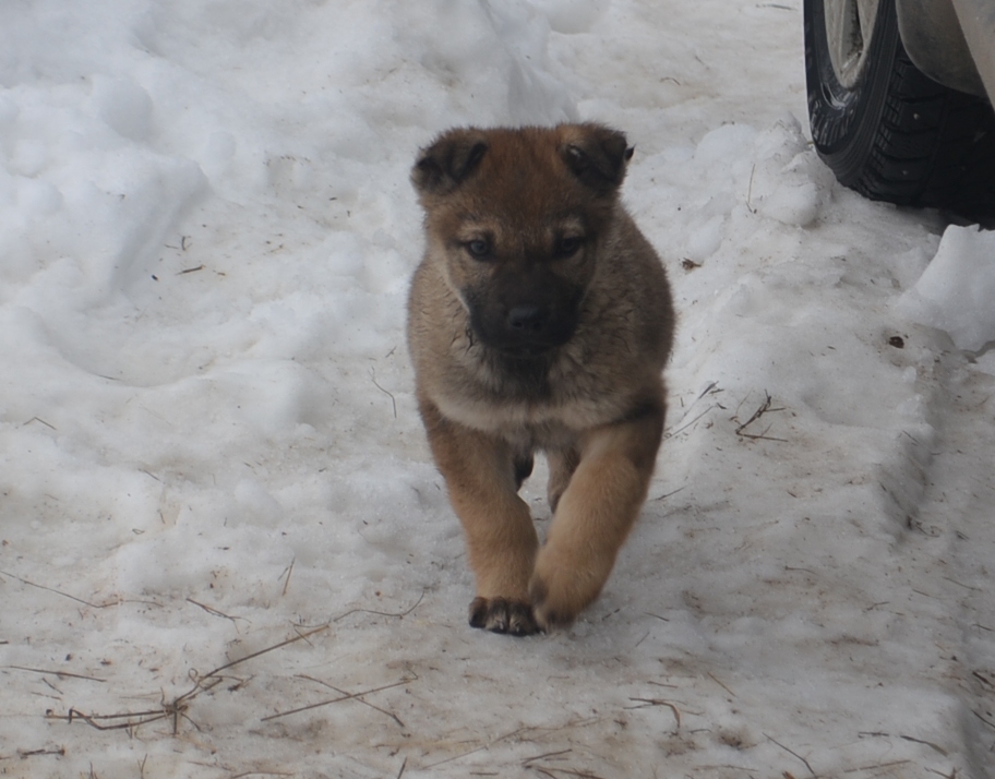 DSC_1453.JPG