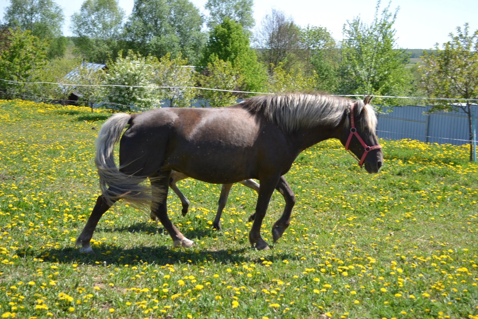 DSC_1749.JPG