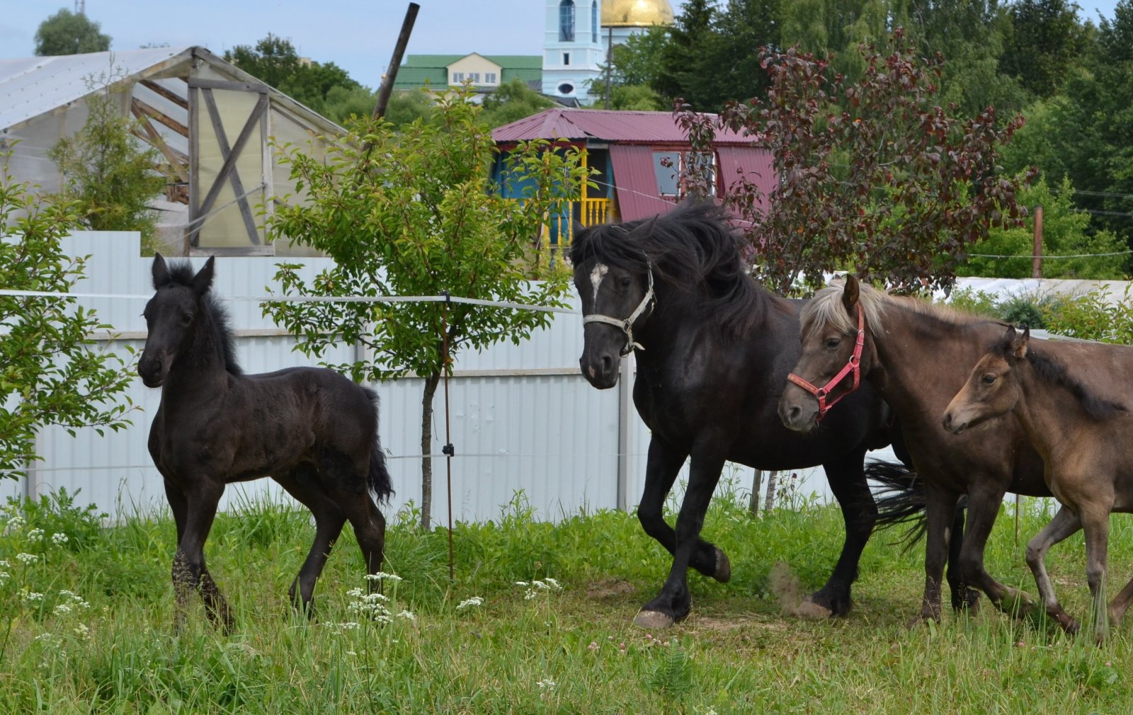 DSC_1992.JPG