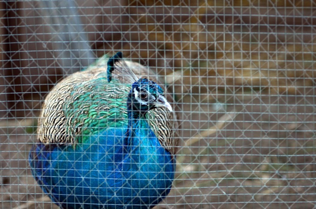 DSC_2308.JPG