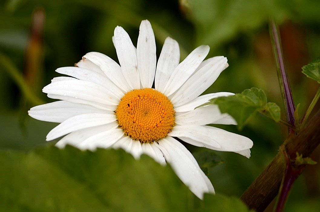 DSC_2353.JPG