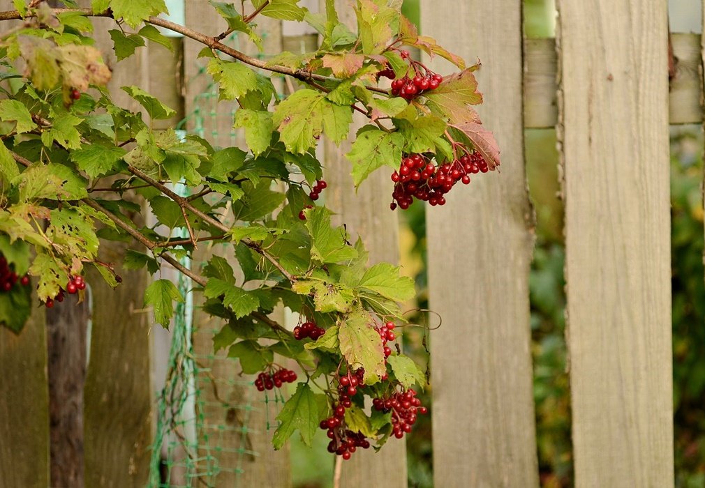 DSC_2424.JPG