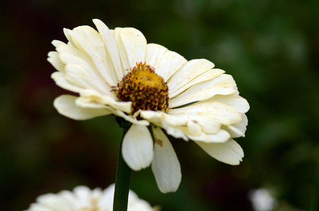 DSC_2519.JPG
