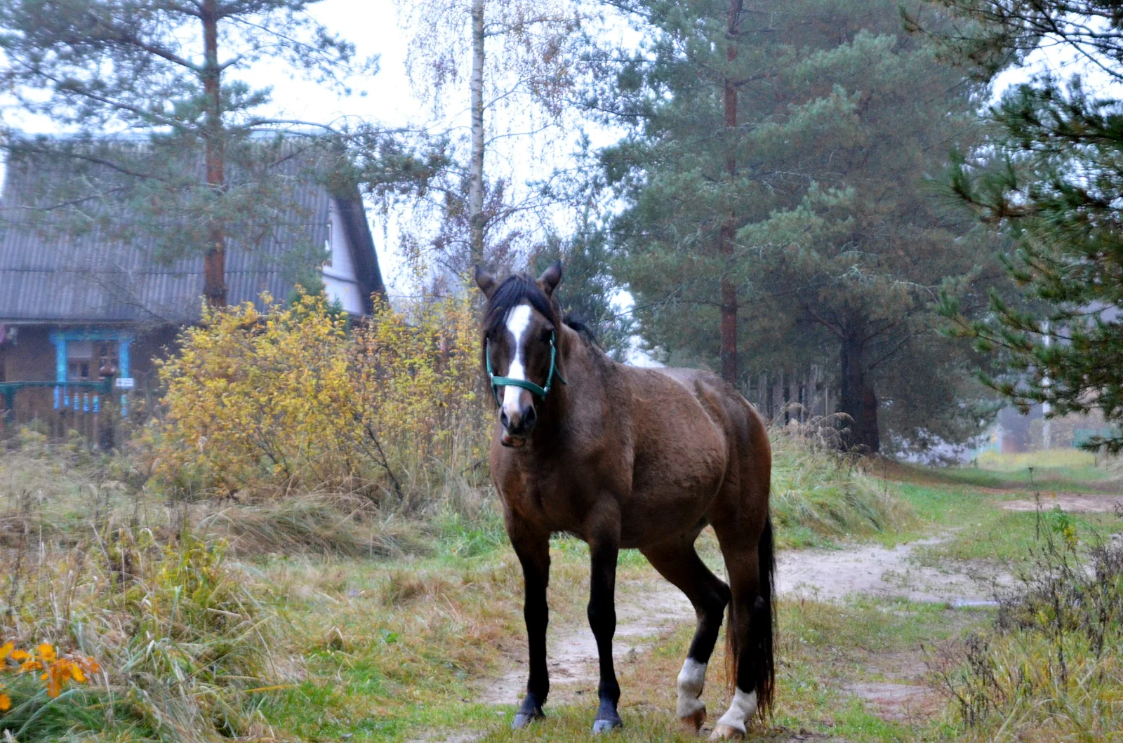 DSC_2890.webp