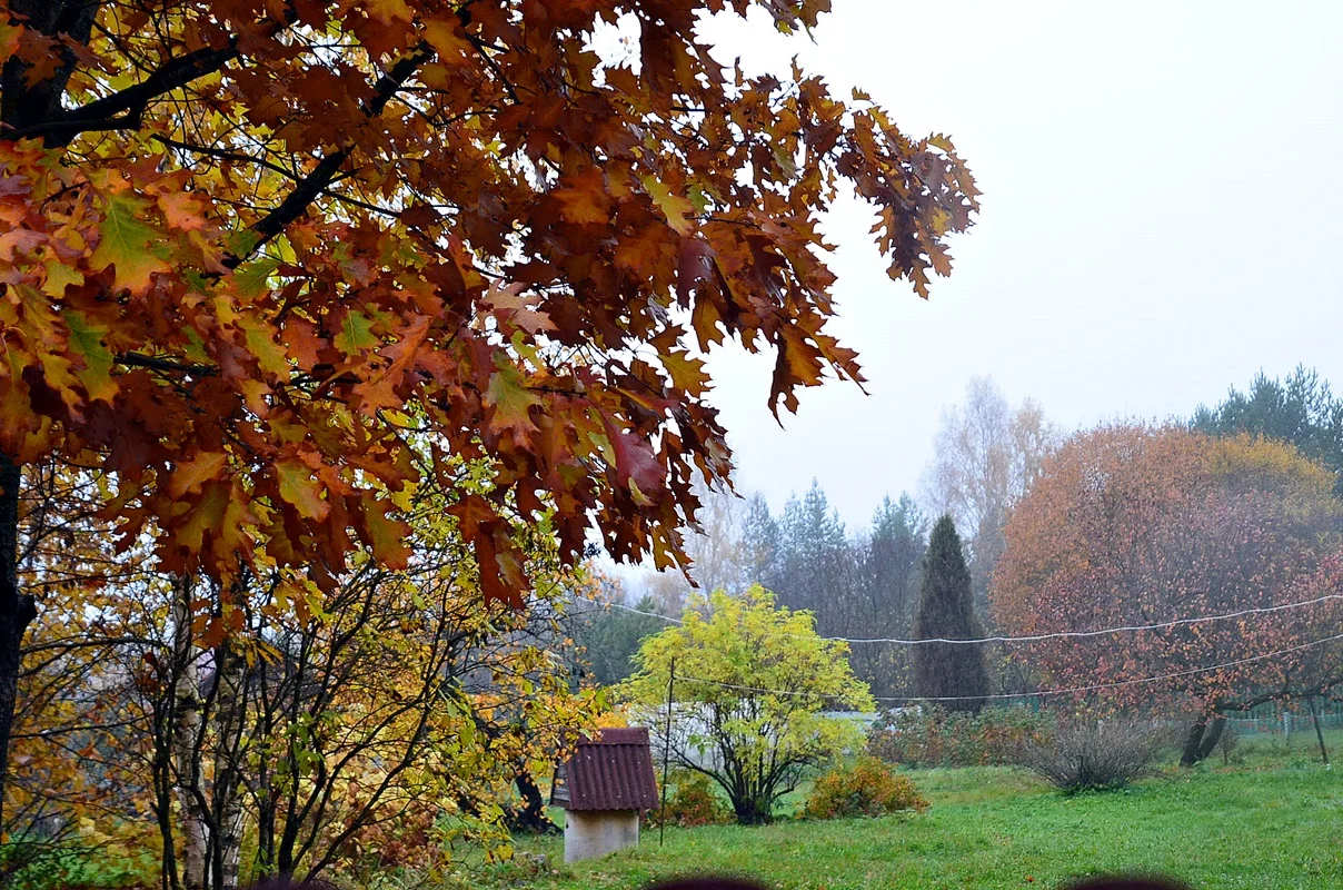 DSC_2934.webp