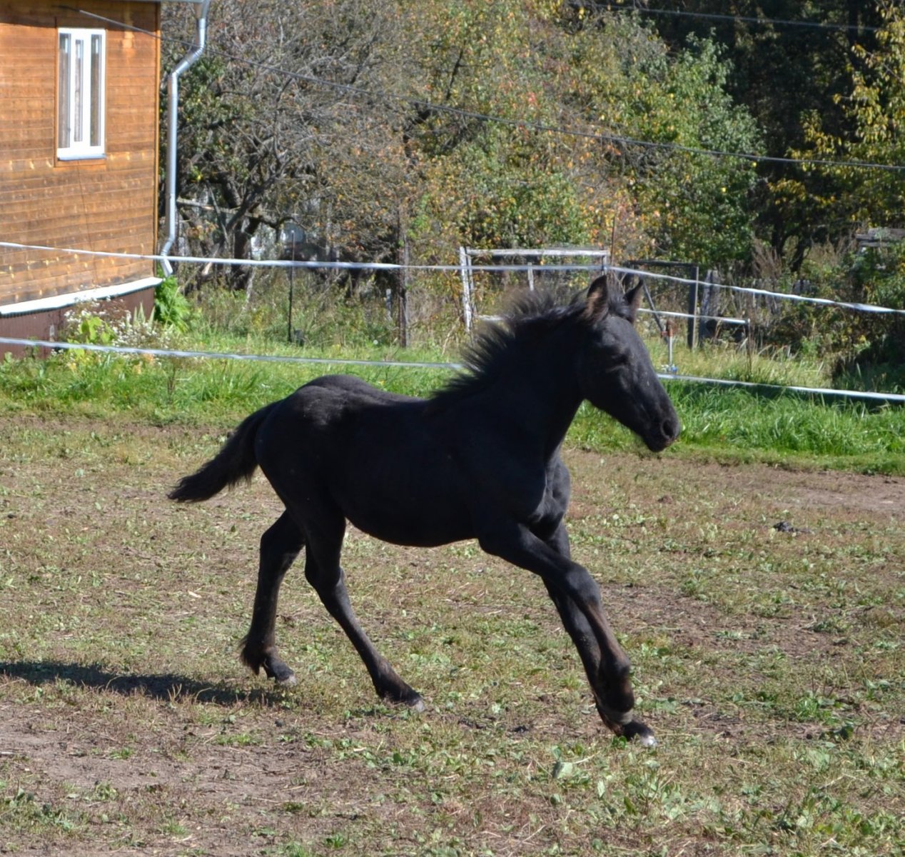 DSC_3102.JPG