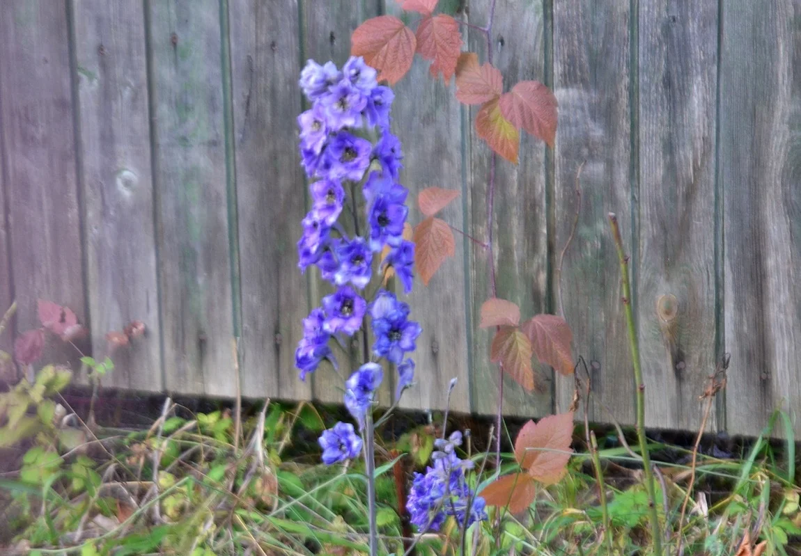 DSC_3280.webp