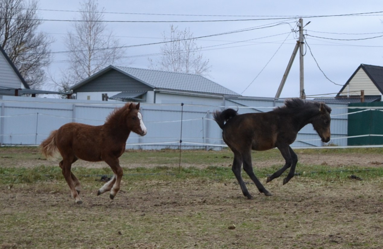 DSC_3307.JPG