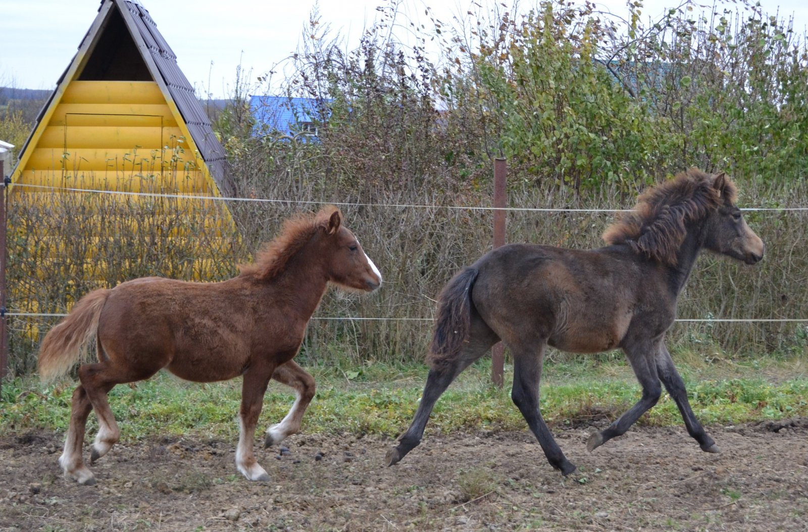 DSC_3321.JPG