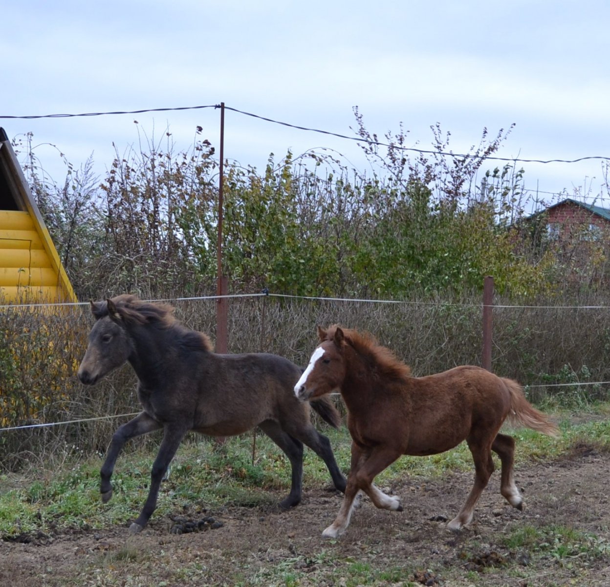 DSC_3351.JPG