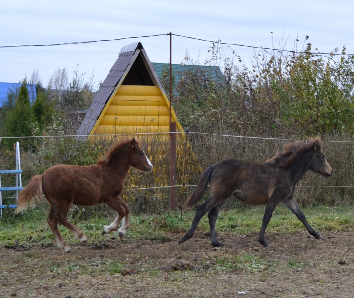 DSC_3365.JPG
