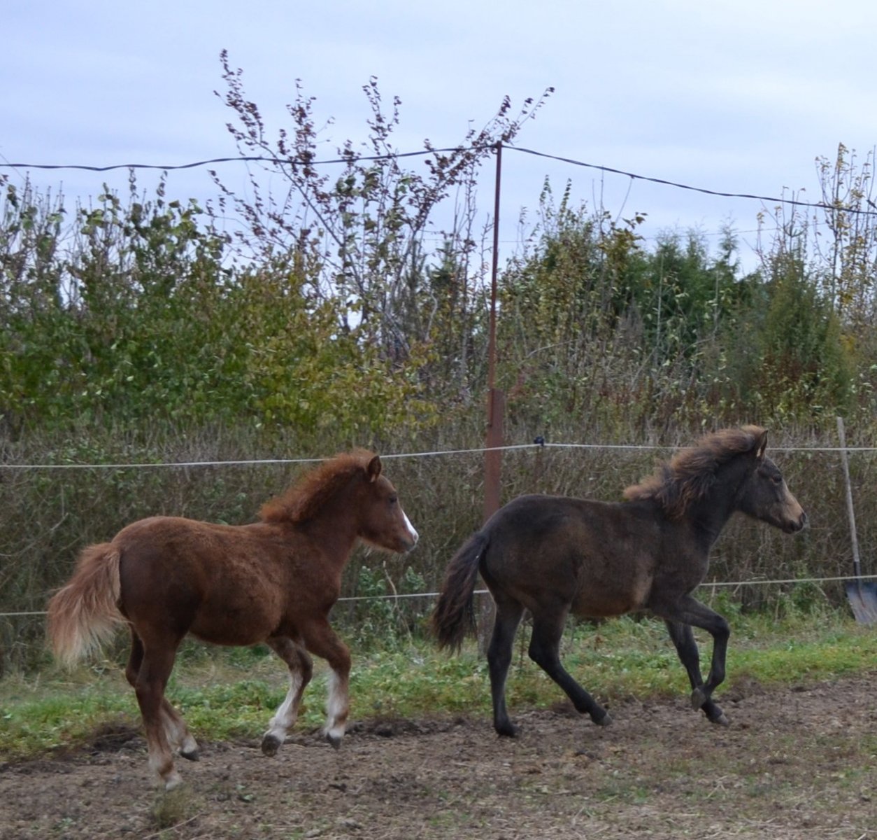 DSC_3384.JPG