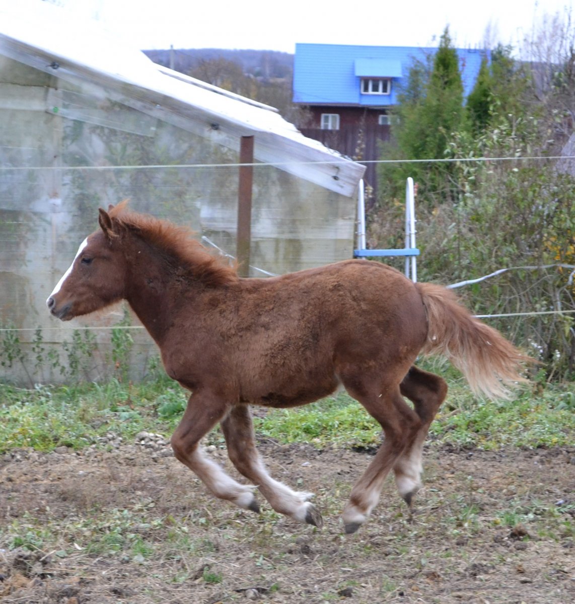 DSC_3407.JPG