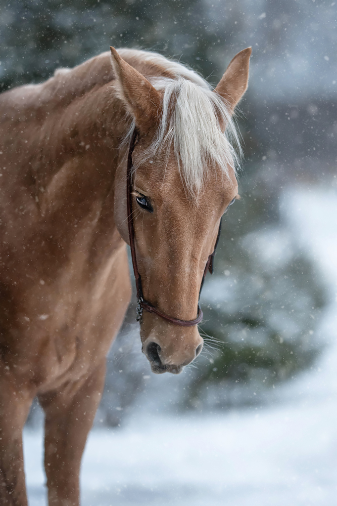 DSC_3473 веб.jpg