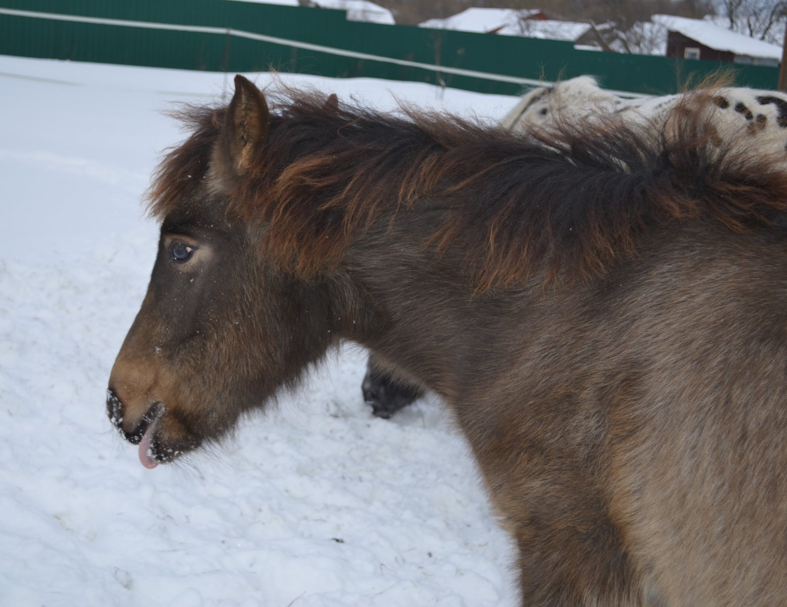 DSC_3517.JPG