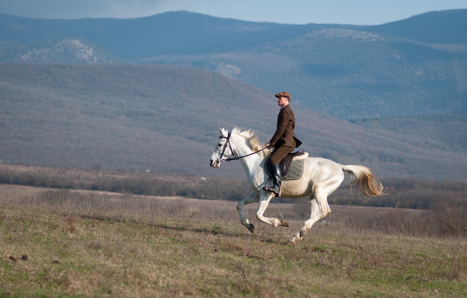 DSC_3714 - copie.jpg