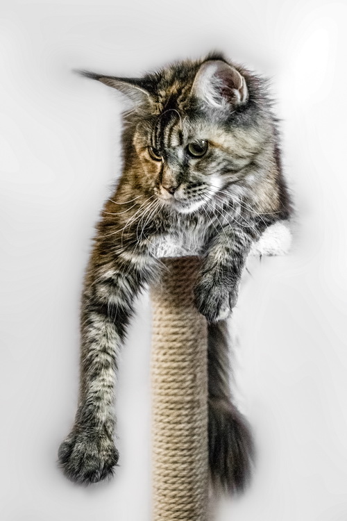 DSC_37621.jpg