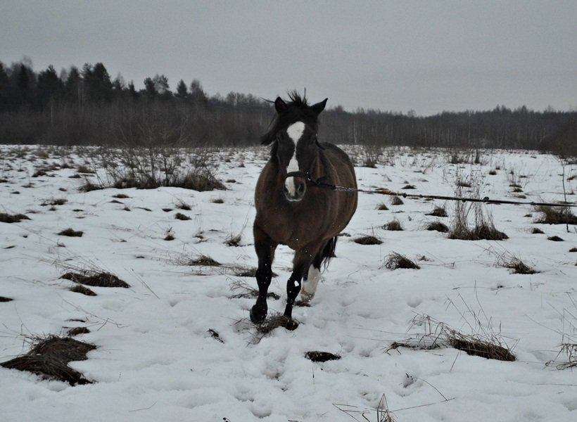 DSC_3946.JPG