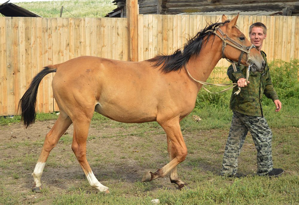 DSC_4078.jpg