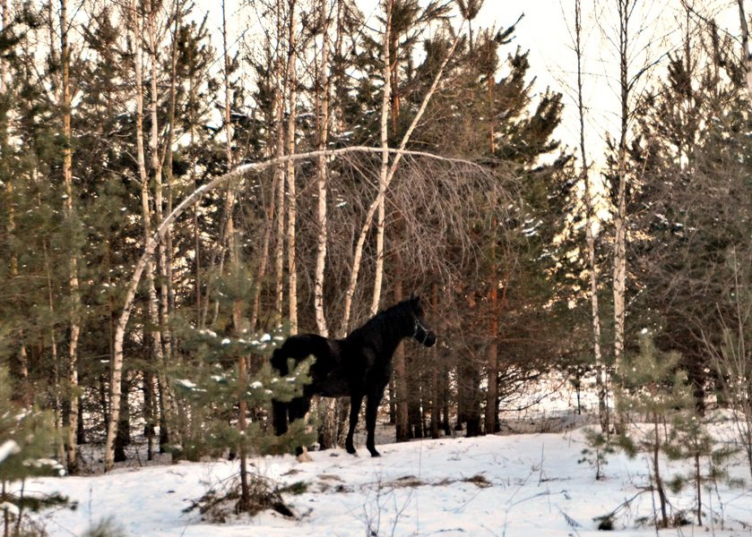 DSC_4252.JPG