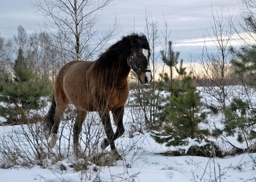 DSC_4394.JPG
