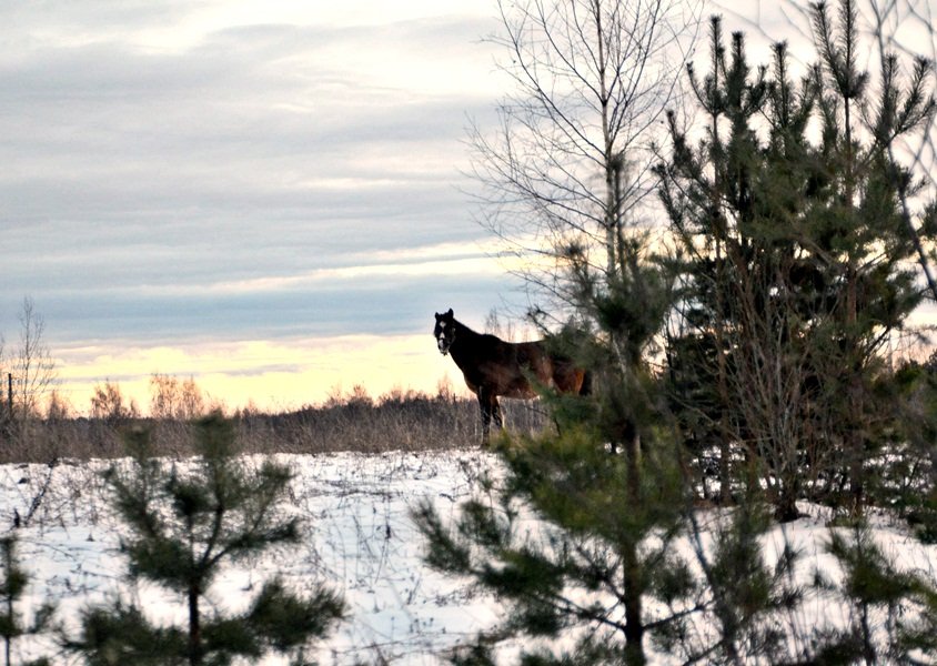 DSC_4399.JPG