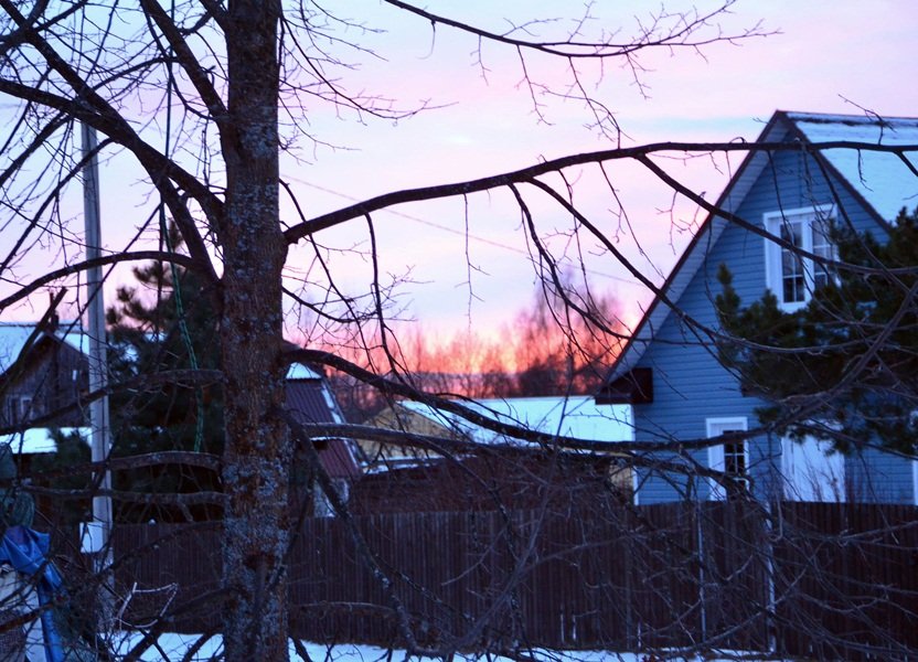 DSC_4419.JPG