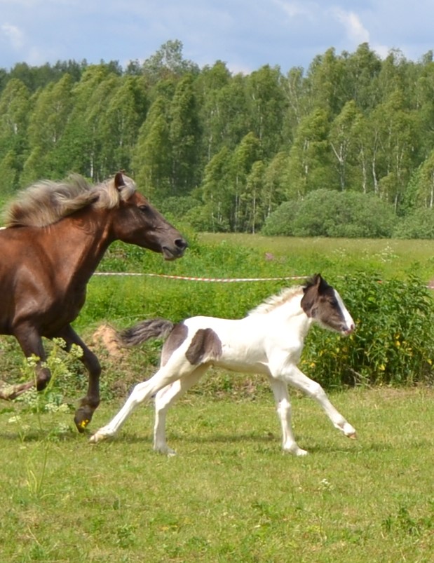 DSC_4512.JPG