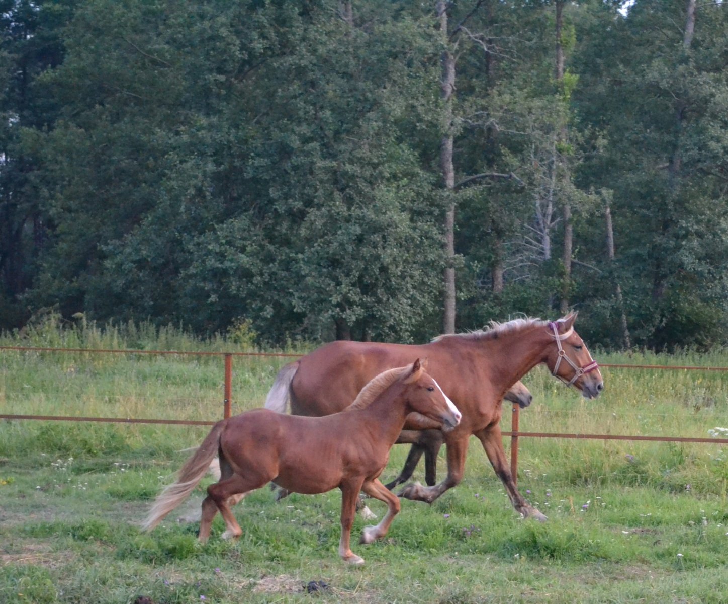 DSC_4982.JPG