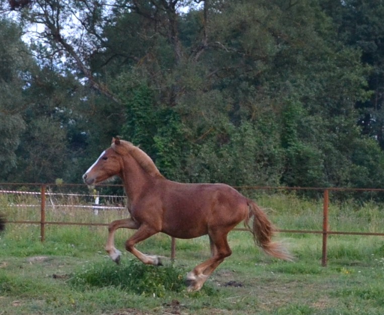 DSC_5006.JPG