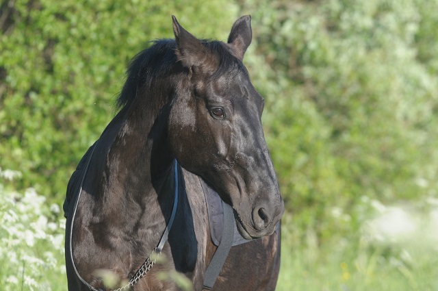 DSC_5175.JPG