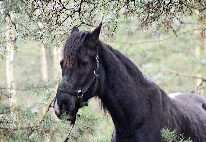 DSC_5258.JPG