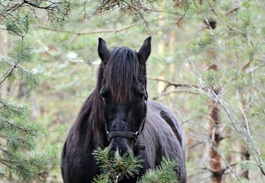 DSC_5259.JPG